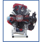 Petrol DOHC MPI Engine Half Cutaway Model